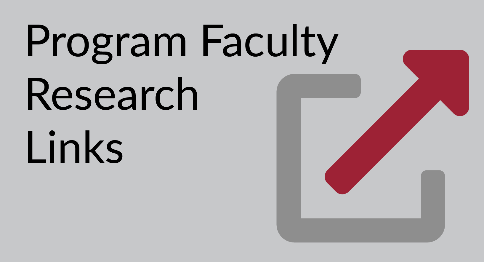 Program Faculty Research